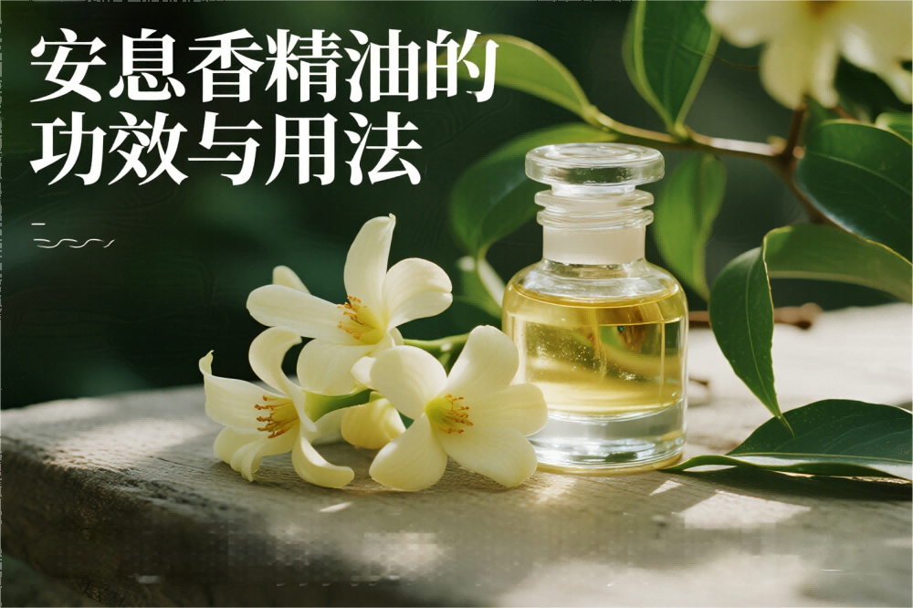 安息香精油的功效与用法