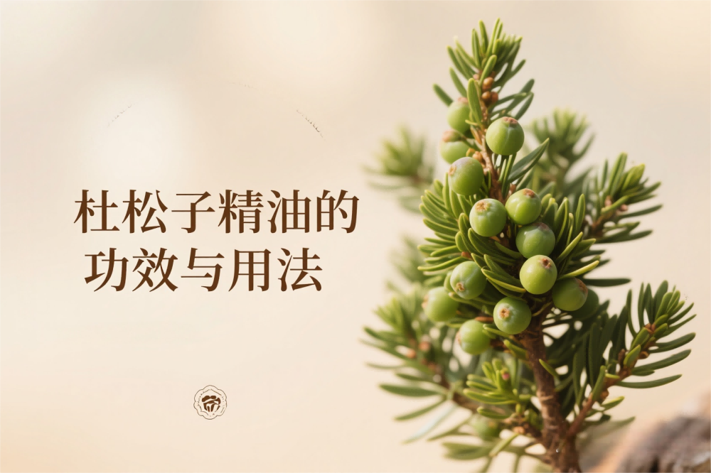 杜松精油的功效与用法.png
