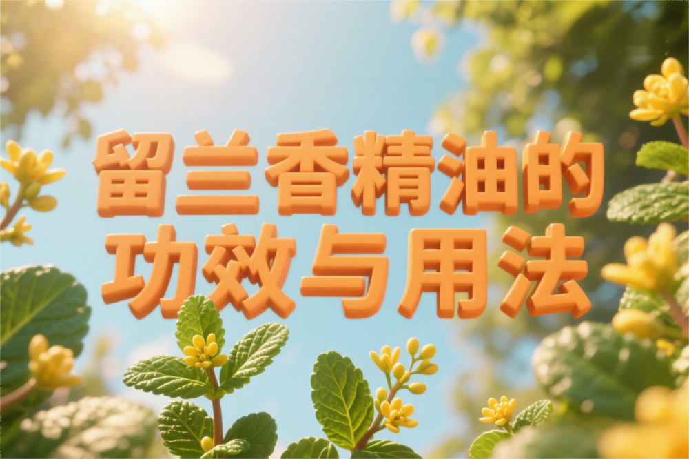 留兰香精油的功效与用法