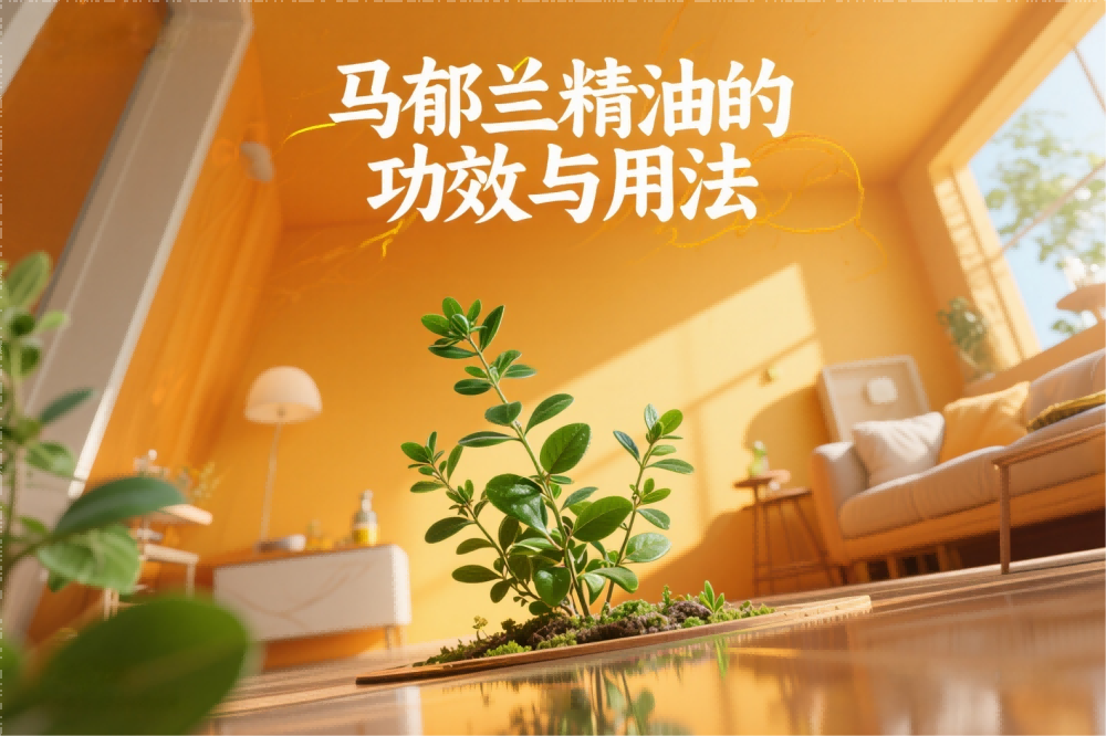 马郁兰精油功效与用法.png