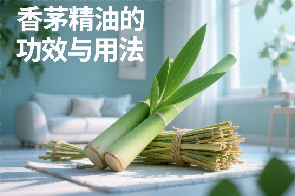 香茅精油的功效与用法