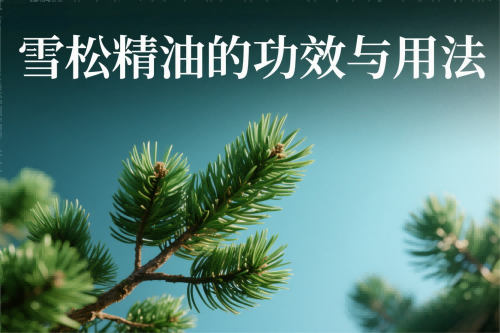 雪松精油的功效与用法