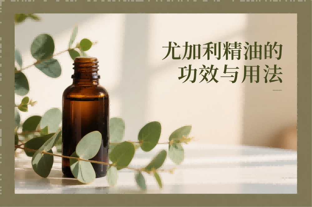 尤加利精油的功效与用法
